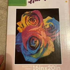 Diamond art with bead storage case.